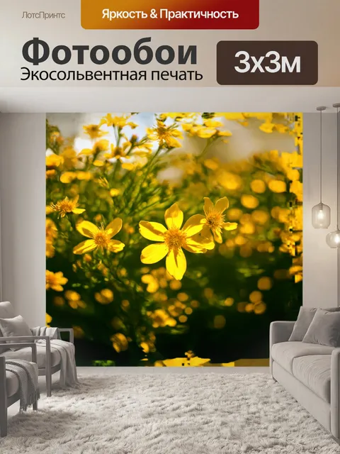 Фотообои зверобой в цвету, удивительное зрелище в разгар лета с обилием своих желтых лепестков, словно солнечные…