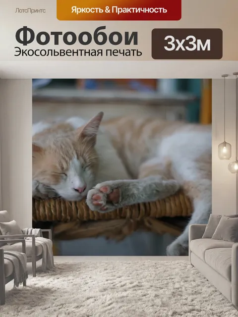 Фотообои Кот