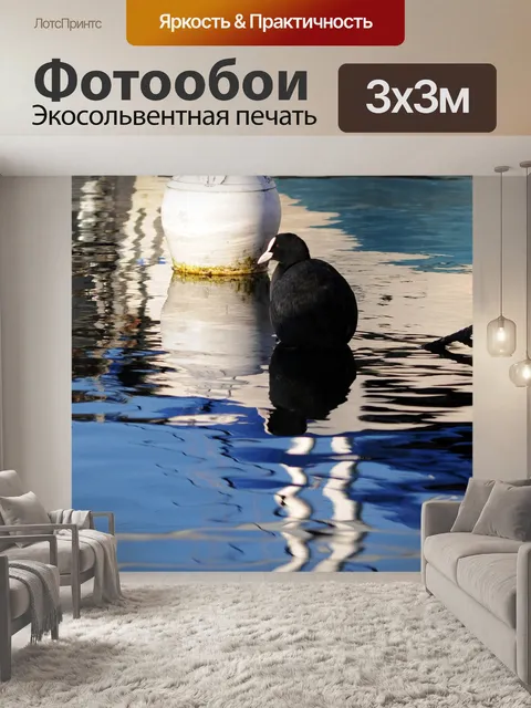 Фотообои Лысуха