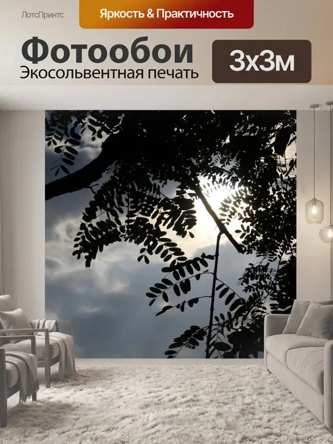 Фотообои Листья и тени
