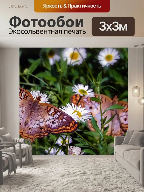 Фотообои Бабочки