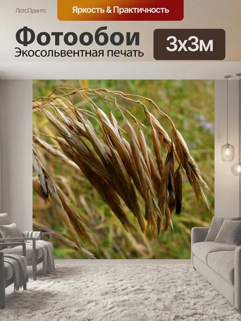 Фотообои Трава