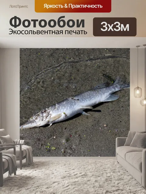 Фотообои Над