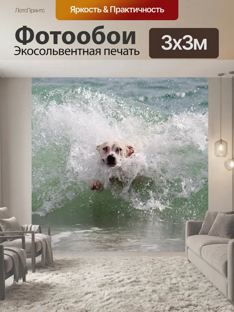 Фотообои Собака