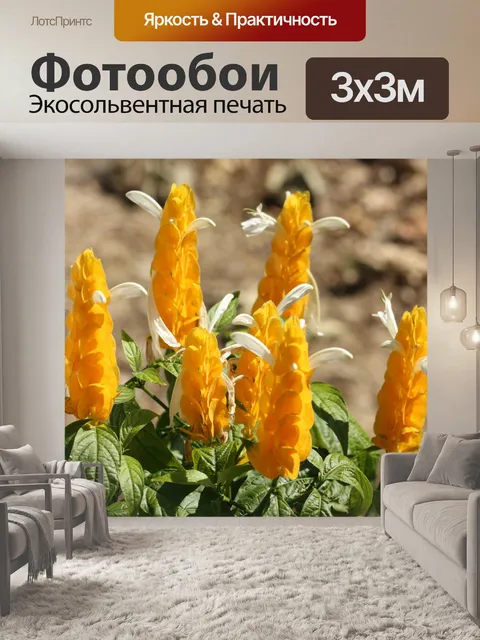 Фотообои Завод креветки 2
