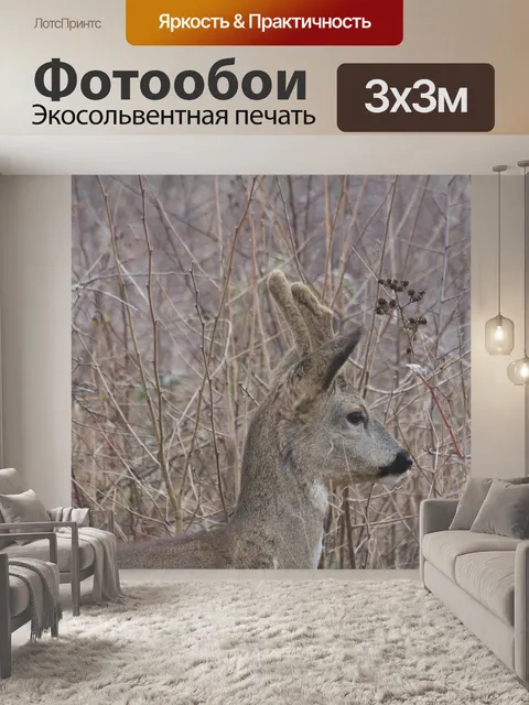Фотообои Олень