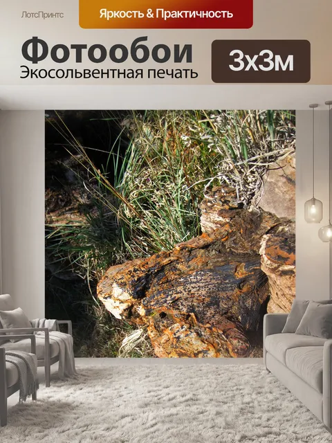 Фотообои скала странной формы с дикой травой