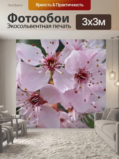 Фотообои Японский черри блоссом