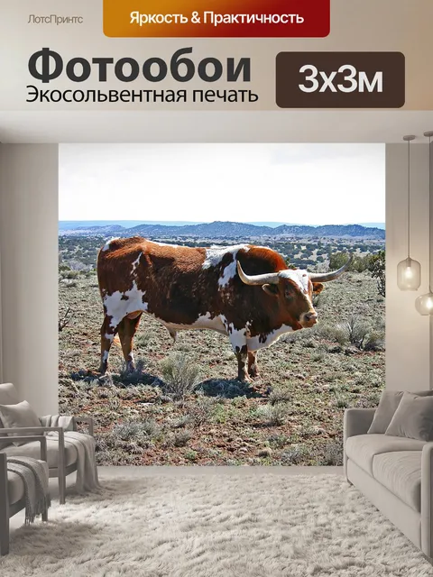 Фотообои Крупный рогатый скот