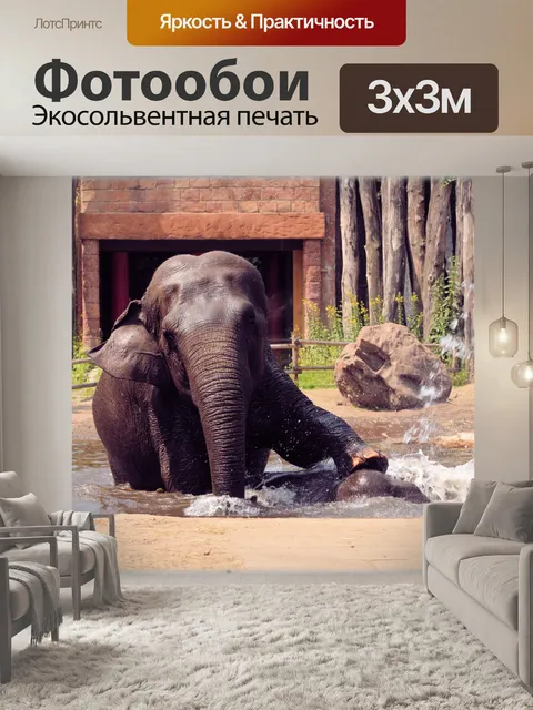 Фотообои В ванне со слонами 2.3