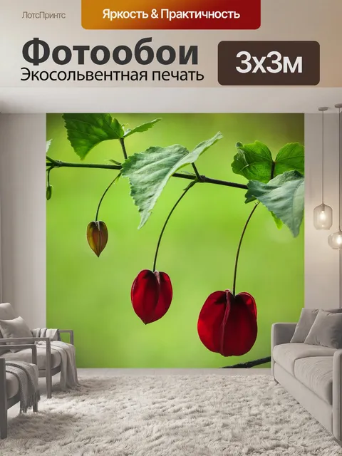 Фотообои Франция