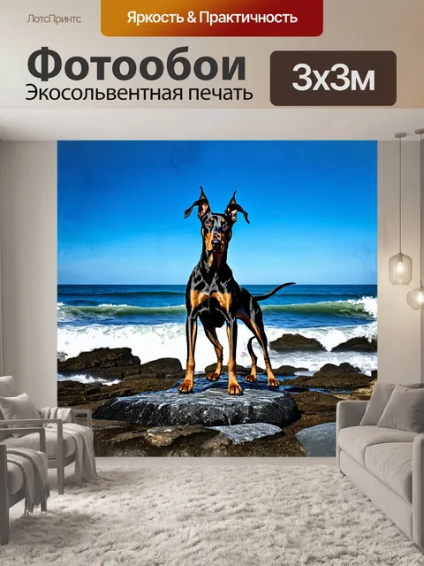 Фотообои доберман, стоящий на скалистом берегу, смотрит на бескрайний океан, волны которого разбиваются о скалы