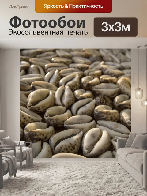 Фотообои Ракушки в качестве фона