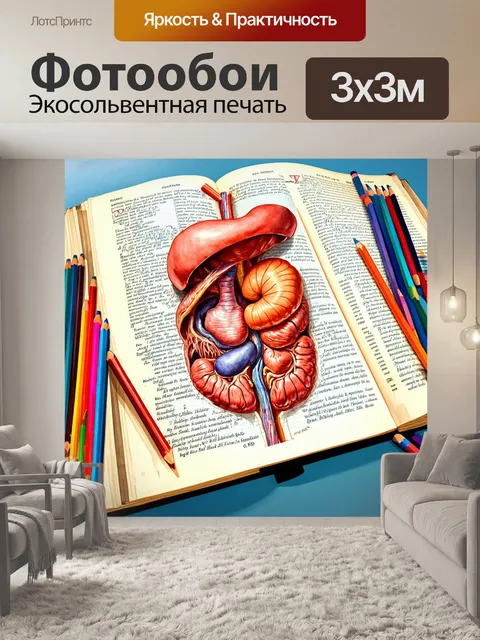 Фотообои анатомический атлас с открытыми страницами
