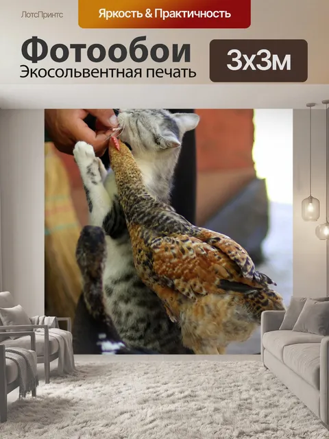 Фотообои Кот
