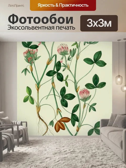 Фотообои Иллюстрация старинных цветов клевера