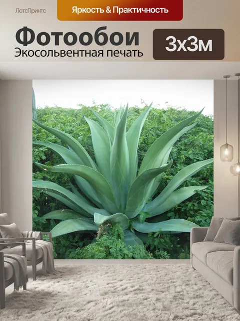 Фотообои Агава
