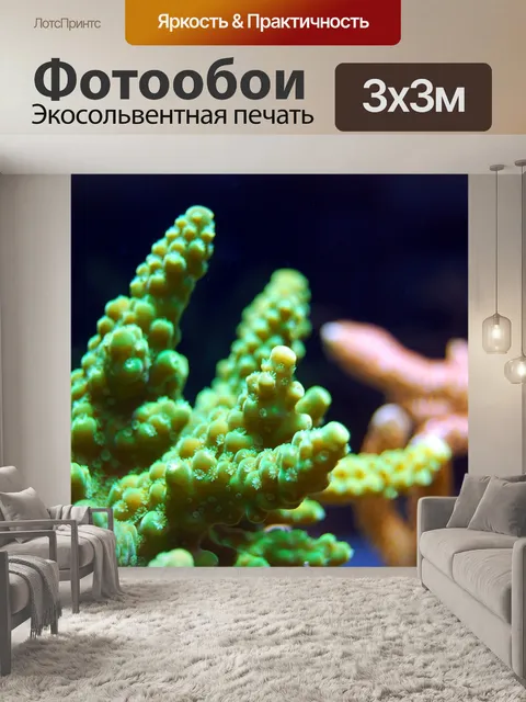 Фотообои Коралл