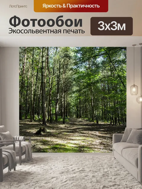 Фотообои лес