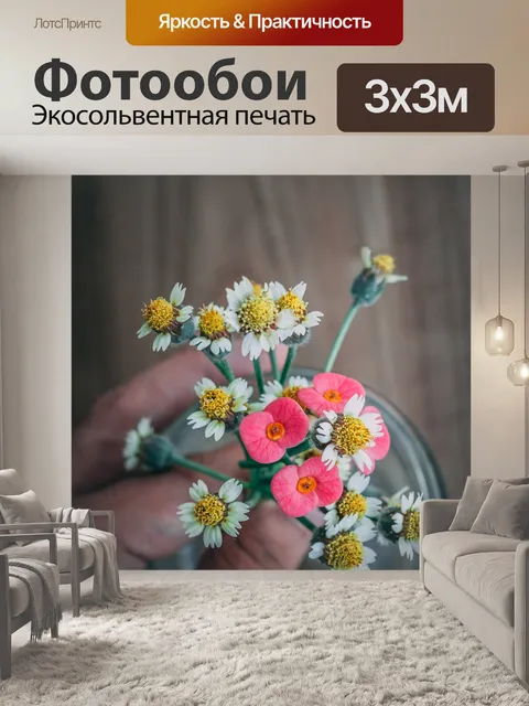 Фотообои Ромашки