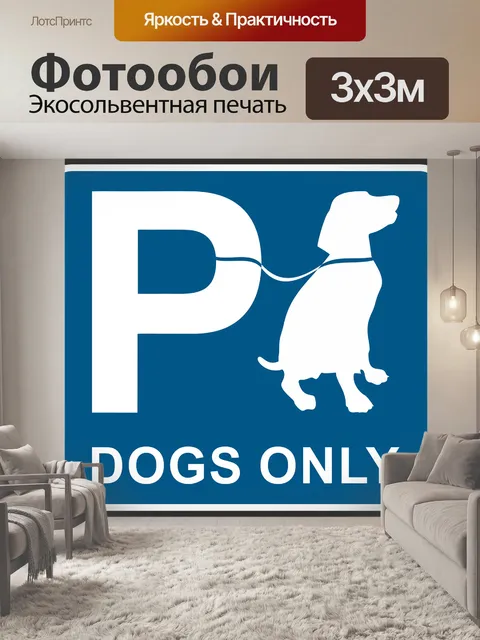 Фотообои Парковка