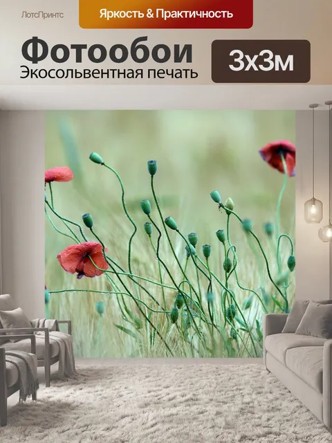 Фотообои Мак