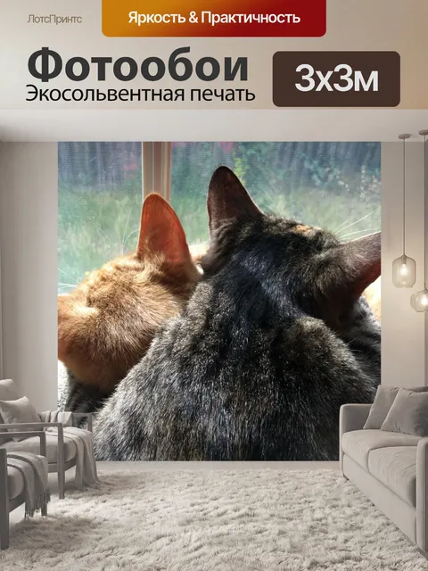 Фотообои Кошки Спальный у окна, наружу