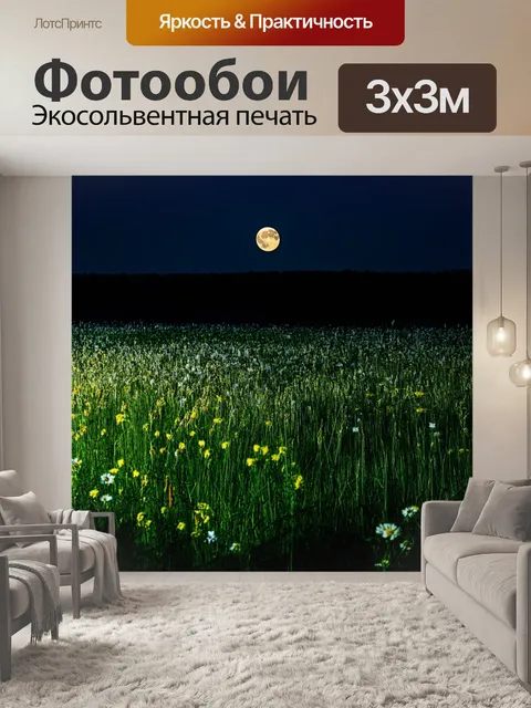 Фотообои поле, на котором произрастают дикие травы и цветы, освещенное луной в безоблачную ночь