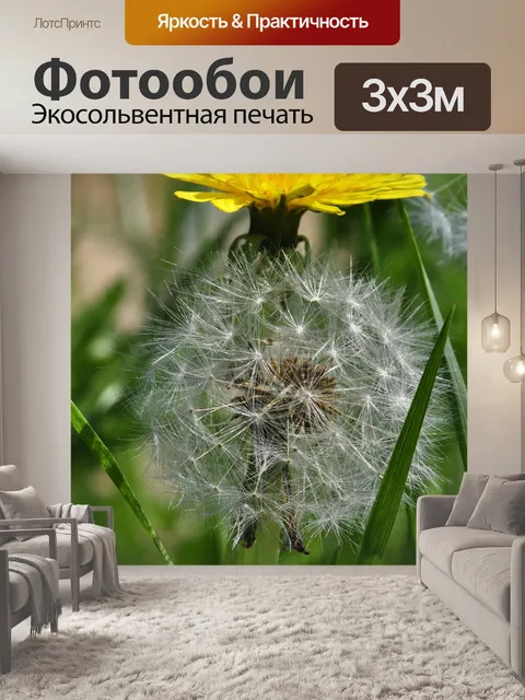 Фотообои Одуванчик