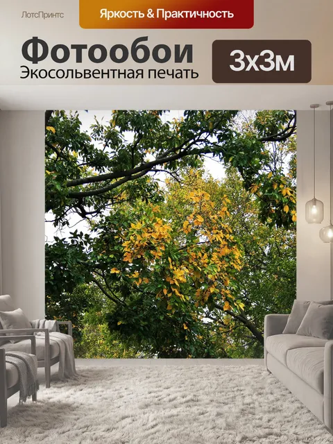 Фотообои пятна желтые листья