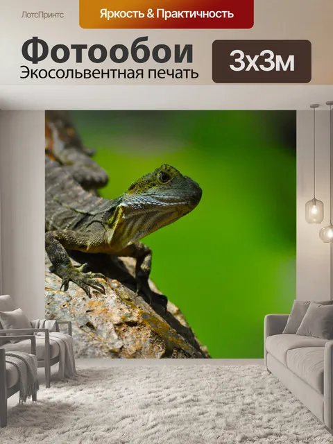 Фотообои Ящерица в дереве