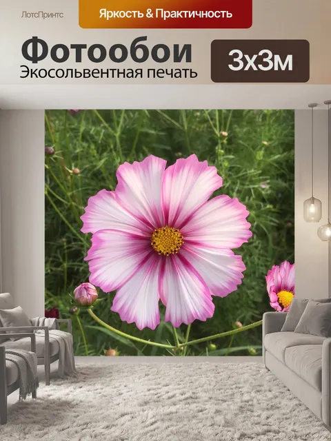 Фотообои Цветы