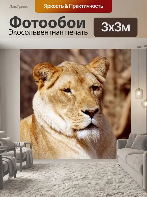 Фотообои Львица отдыха