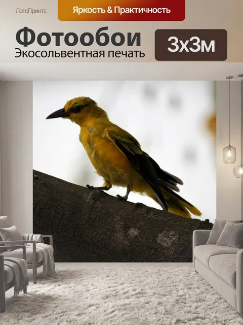 Фотообои желтая крыло жаворонка