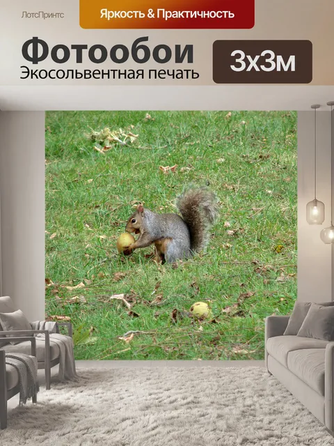 Фотообои Я нашел одну