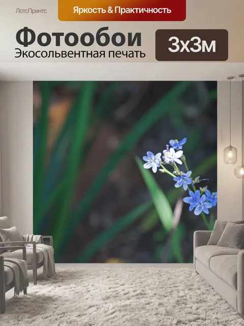 Фотообои солнечный свет на маленькие голубые цвет