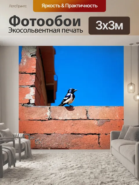 Фотообои одна сорока, сидящая на краю старого здания, обрамленного голубым небом