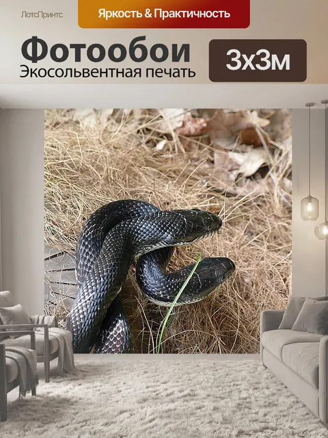 Фотообои Змея