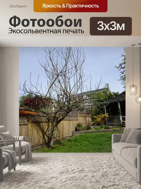 Фотообои Смоковница