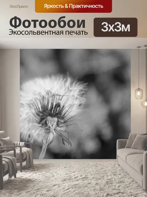 Фотообои Одуванчик в черном и белом