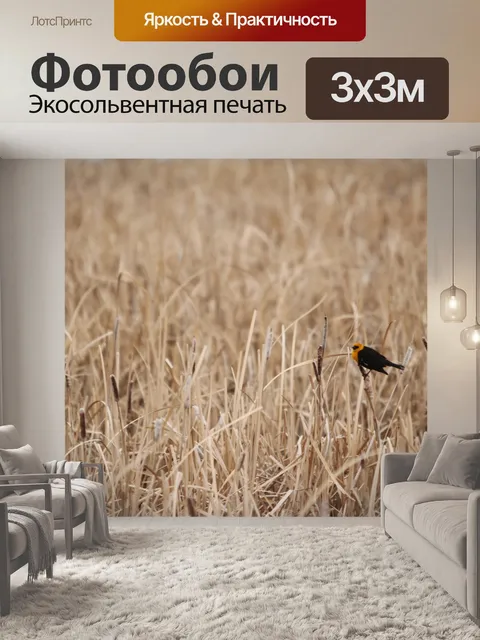 Фотообои Желтое крыло Blackbird