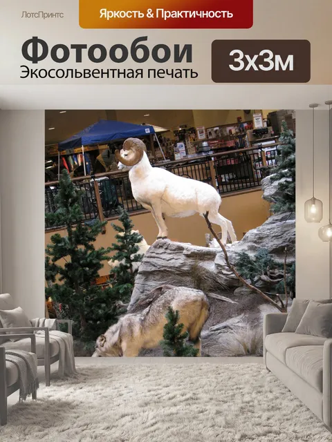 Фотообои Овцы долла
