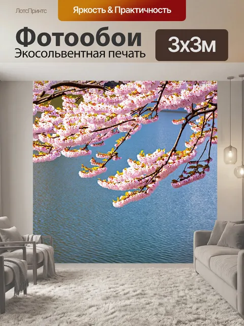 Фотообои озеро с цветущими сакурами вдоль берега в весенний день