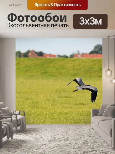 Фотообои Цапля