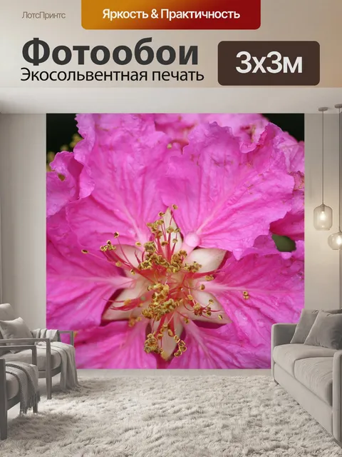Фотообои Цветок
