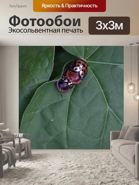 Фотообои блестящие пятнистые черепахи