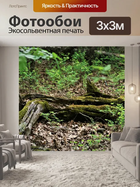 Фотообои Мосс Крытый Вход в Вудс