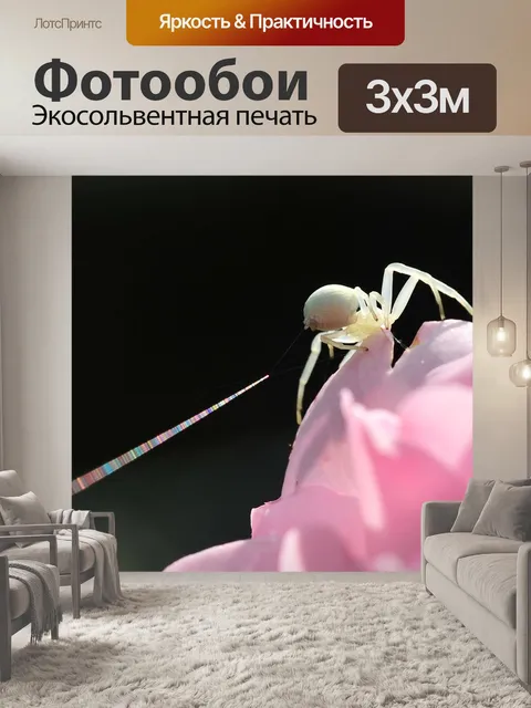 Фотообои Мутабельный крабовый паук