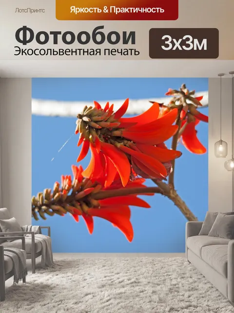 Фотообои коралловые дерево цветок