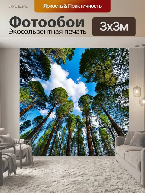 Фотообои лес с синими небесами и пушистыми облаками над деревьями